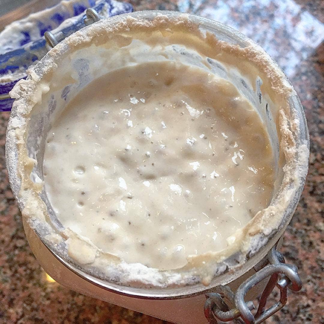 Sourdough Starter Packet Breadtopia