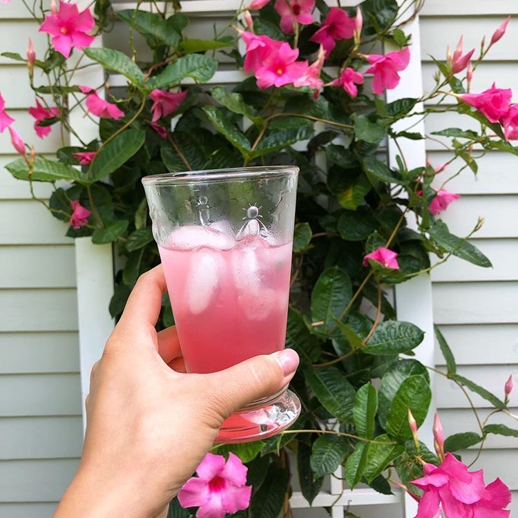 La Rochere Bee Iced Tea Glasses - Set of 6 Drinkware La Rochere