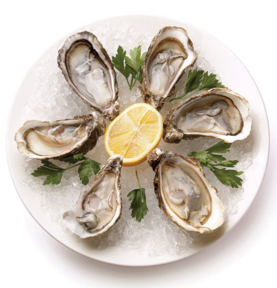 9" Oyster Plate Serveware Harold Import