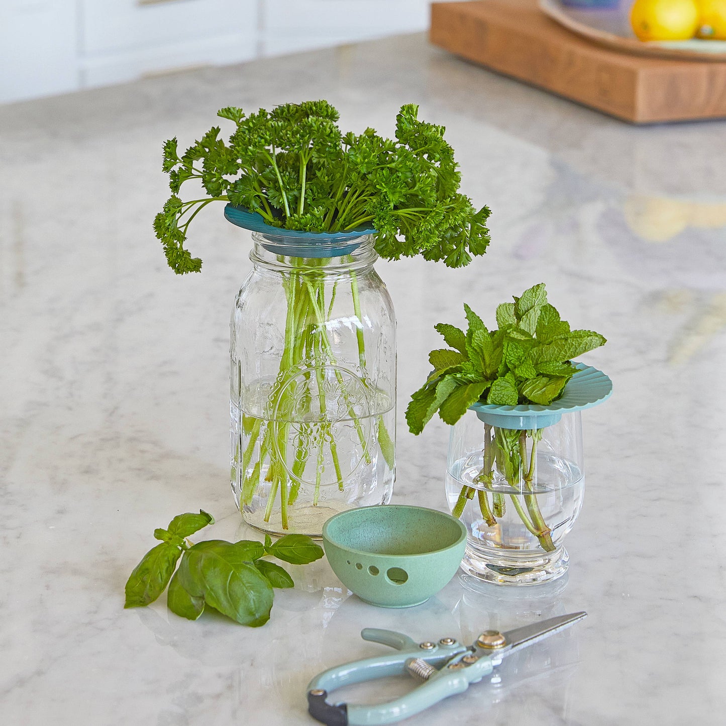 Produce Keepers - Set of 2 Kitchen Tools Modern Sprout