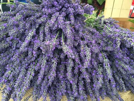 Large bundles of fresh purple lavender at the Springs Farmer's Market in East Hampton