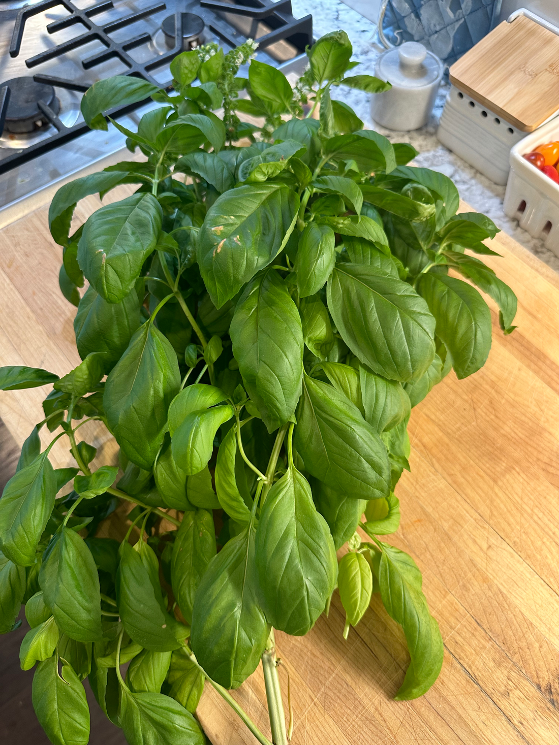 Ina Garten's homemade basil pesto sauce in a bowl with fresh basil leaves and pine nuts