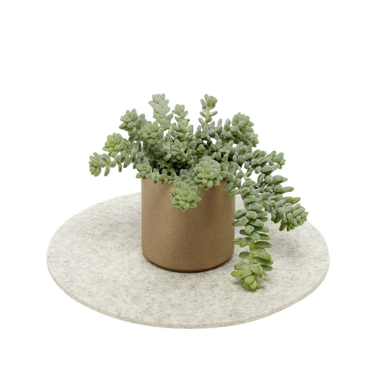 Round Merino Wool Felt Trivet 10" Heather White: Heather White Kitchen Tools Graf Lantz