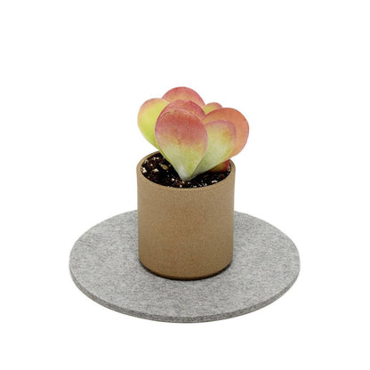 Round Merino Wool Felt Trivet 8": Granite Kitchen Tools Graf Lantz