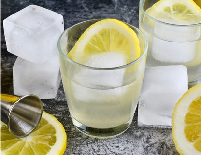 Extra-Large 6 Cube Ice mould tray Bar Tools & Items Final Touch