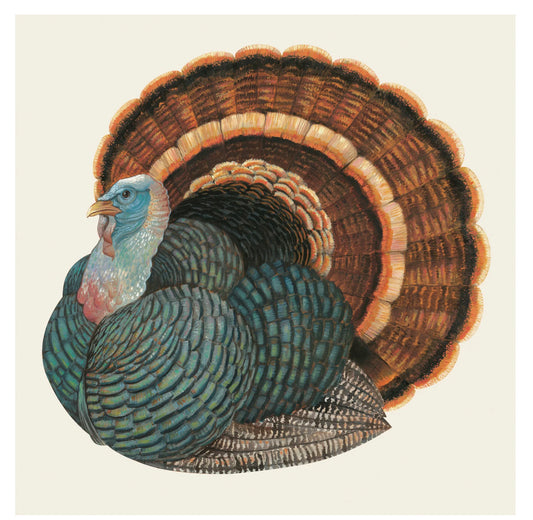 Hester and Cook Heritage Turkey Cocktail Napkin - Pack of 20 Hester and Cook