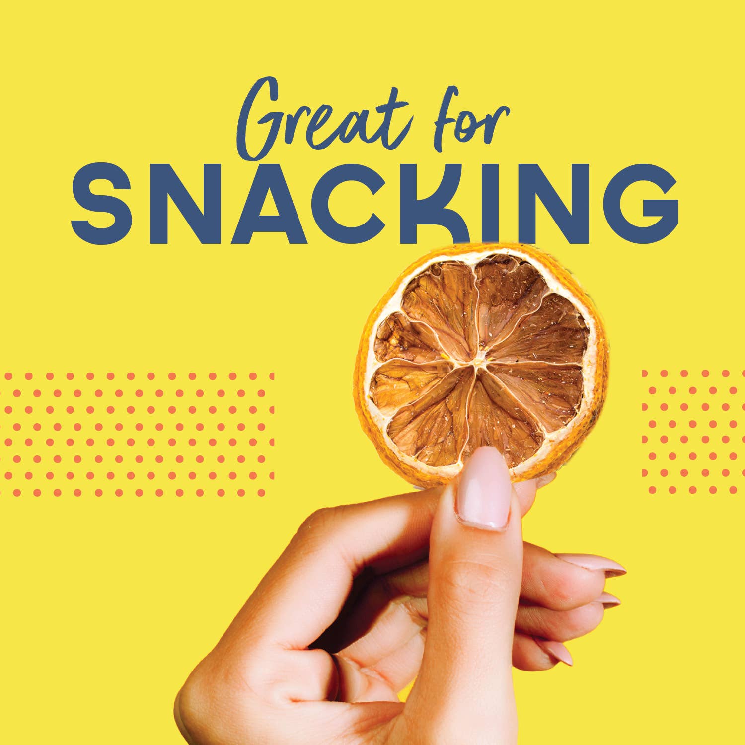 Dehydrated Lemon Slices – All-Natural Cocktail & Baking Garnish | Fresh Lemon Flavor Bar Tools & Items BlueHenry LLC