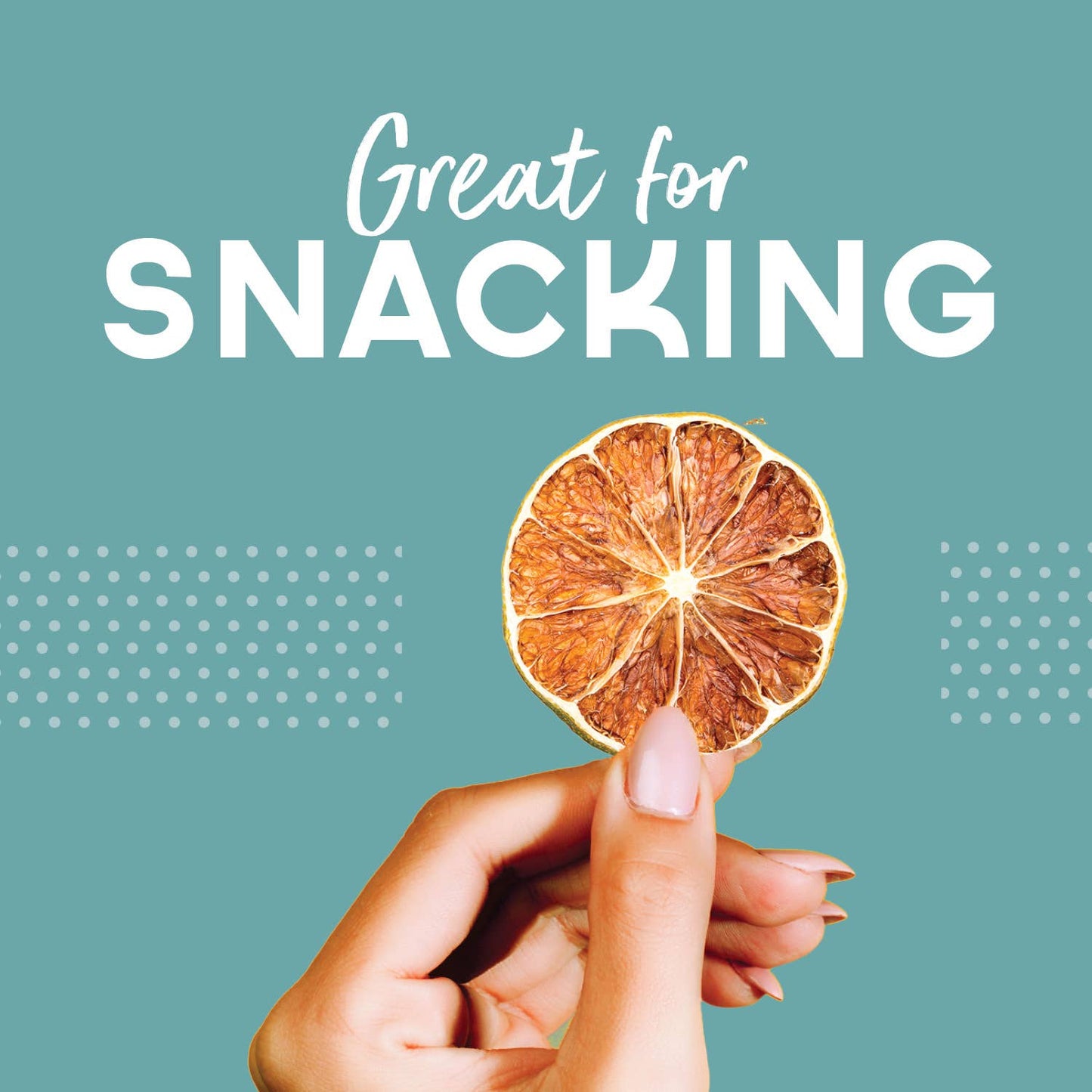 Dehydrated Lime Wheels | All-Natural Cocktail Garnish Bar Tools & Items BlueHenry LLC