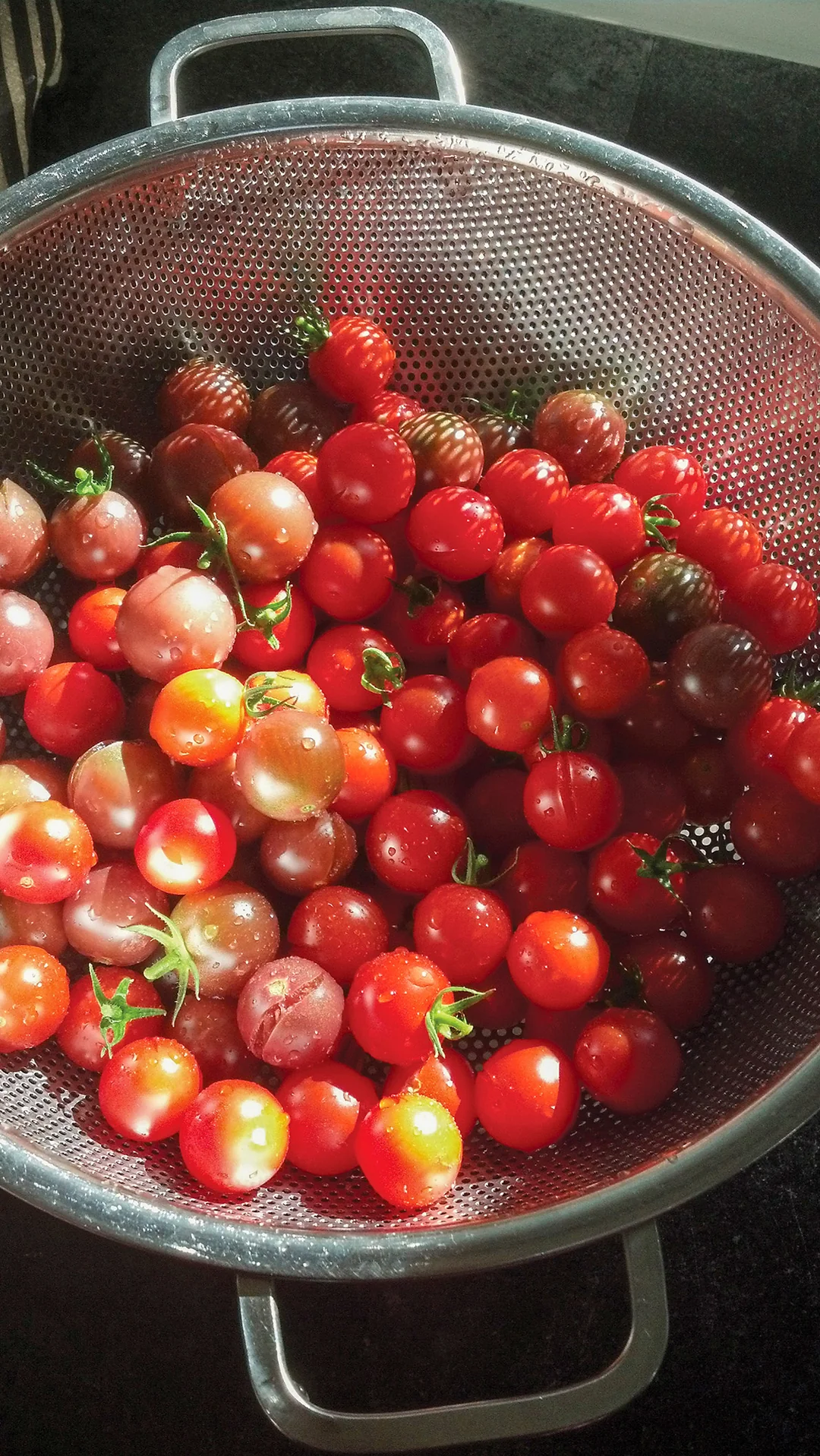 Precision Pierced Colander Kitchen Tools RSVP International