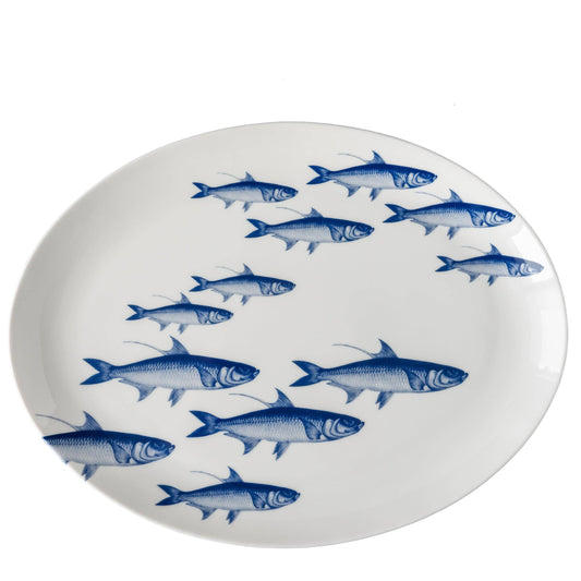School of Fish Coupe Oval Platter  Caskata