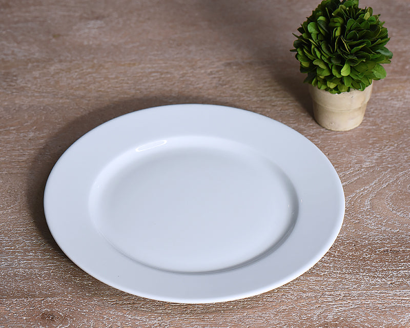White French salad plate from Pillivuyt next to small plant