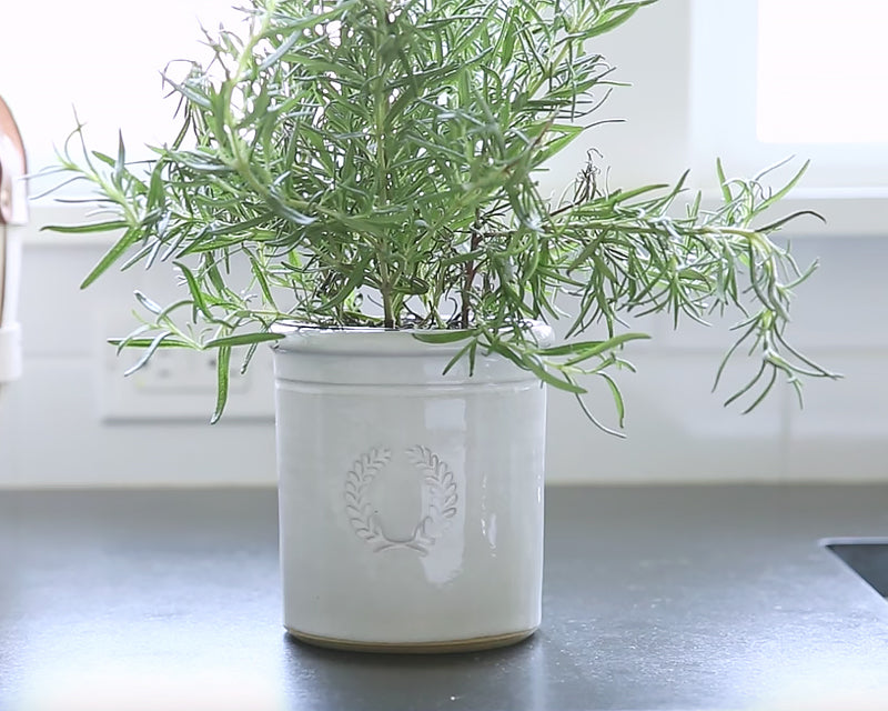 crock plant pots Farmhouse Crock