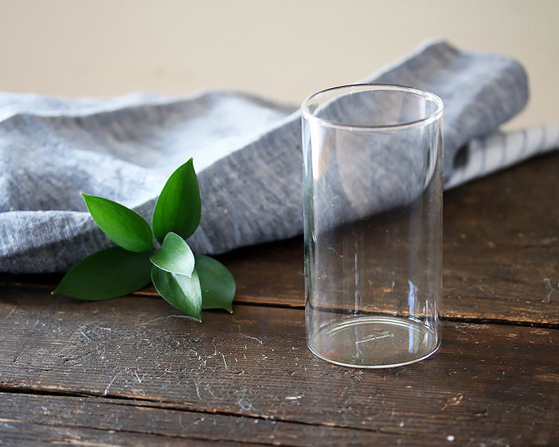 Simple Water Glass closeup shot sits next to a sprig of green
